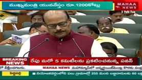 Finance Minister About Amaravathi Development