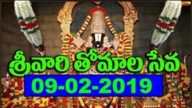 Srivari Thomala Seva