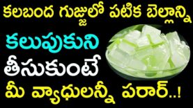 కలబంద గుజ్జులో పటిక బెల్లాన్ని కలుపుకుని తీసుకుంటే మీ వ్యాధులన్నీ పరార్