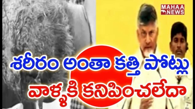 Chandrababu Press Meet On YS Vivekananda Reddy Demise Case