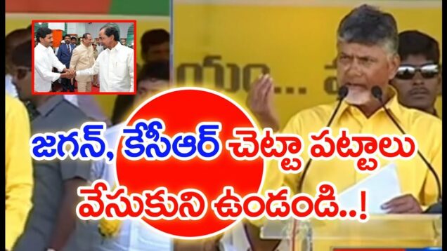 Chandrababu Satirical Comments On Jagan & KCR