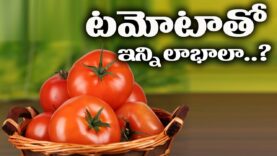 Shocking Facts of Tomatoes