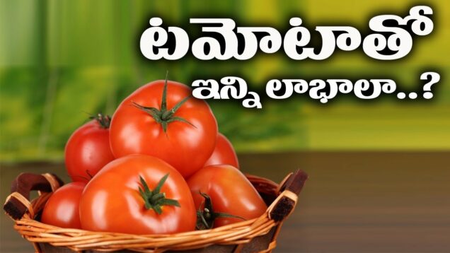 Shocking Facts of Tomatoes