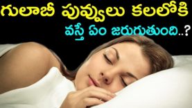 What does flowers dreams means ?