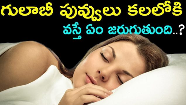 What does flowers dreams means ?