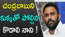 చంద్రబాబుని కుక్కతో పోల్చిన కొడాలి నాని !