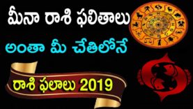 మీనా రాశి ఫలితాలు