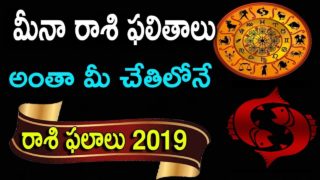 మీనా రాశి ఫలితాలు