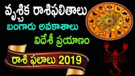 వృశ్చిక రాశి ఫలాలు 2019