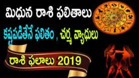 మిథున రాశి 2019