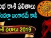 కుంభ రాశి ఫలితాలు 2019