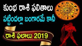 కుంభ రాశి ఫలితాలు 2019