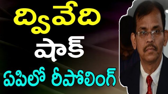 Andhra Pradesh To Conduct Re-Polling at Five Centers