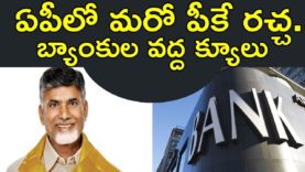 AP People Stands At Banks To Take Pasupu Kunkuma Scheme Money
