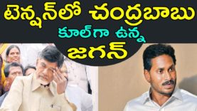 Chandrababu And Jagan Situations After Elections In AP