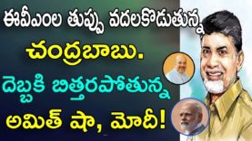 Chandrababu And Other Party Leaders Are Attack On EC Over EVM’s