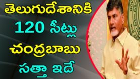 Chandrababu Capacity In AP Elections