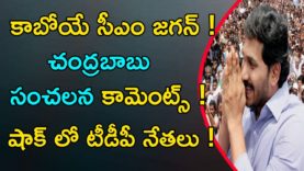 Chandrababu Comments On YS JAGAN Over Elections