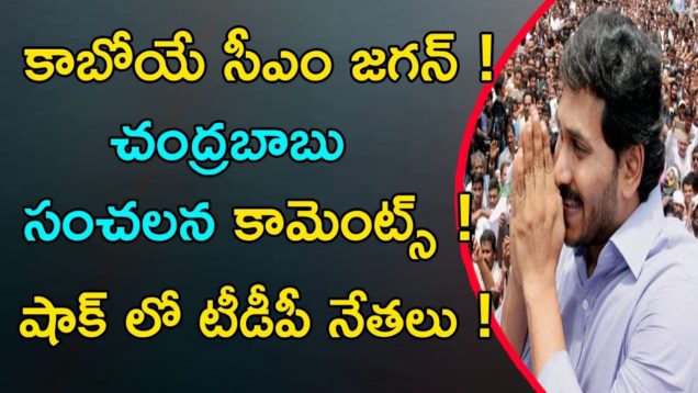 Chandrababu Comments On YS JAGAN Over Elections