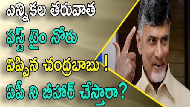 Chandrababu Fires On Election Commission