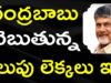 Chandrababu Winning Points