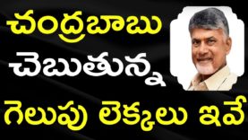 Chandrababu Winning Points