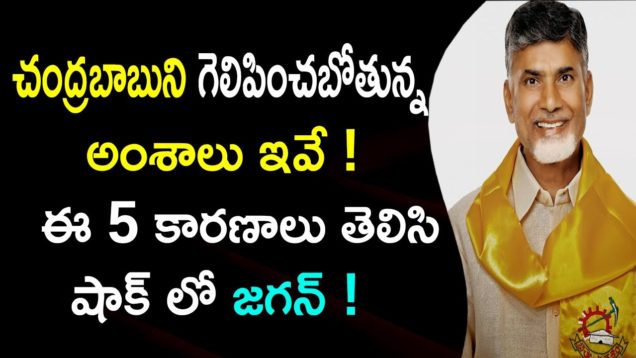CHANDRABABU Winning Points In AP ELECTIONS