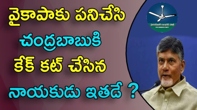 Clash Between TDP Party Leaders In Chandrababu Birthday Celebrations