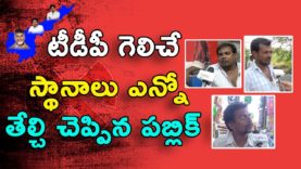 HOW MANY SEATS TDP WILL WIN SAID BY PUBLIC