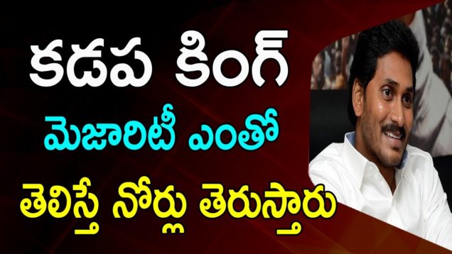 Huge Bettings On Jagan And Chandrababu Winning In AP Elections