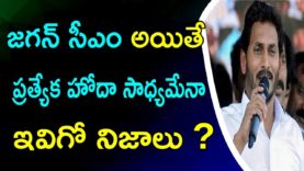 Jagan Mohan Reddy Can Get Special Status To AP