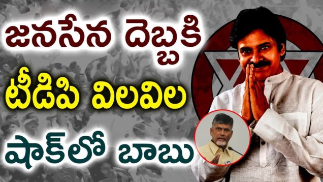 JanaSena Party effect on TDP