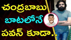 JANASENA Pawan Kalyan Is Moving As Same As Chandrababu