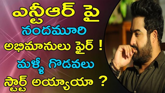 Nandamuri Fans Fires On Jr.NTR