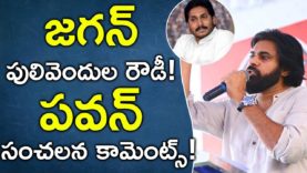 Pawan Sensational Comments On Jagan Mohan Reddy