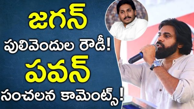Pawan Sensational Comments On Jagan Mohan Reddy