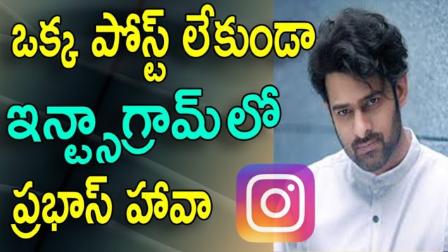 Prabhas Craze In Instagram