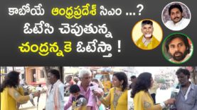 Public Promises I will Vote To Chandra Babu Naidu