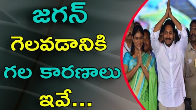 Reasons Behind Winning Of Jagan As AP CM