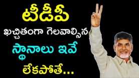 TDP Must Win This Constituencies