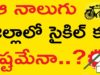 TDP Will Win In That 4 Districts
