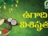 UGADI SPECIAL VIDEO(2019)