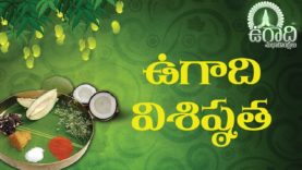 UGADI SPECIAL VIDEO(2019)