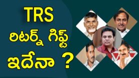 Who Will Win In AP Elections