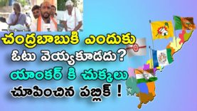 Why should not Chandrababu