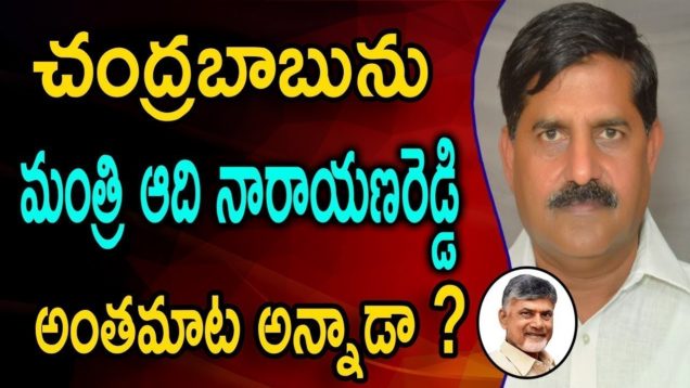 Aadi Narayana Reddy Sensational Comments On Chandrababu