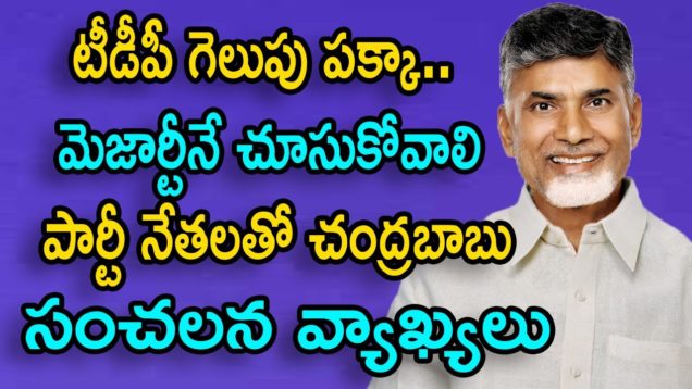 Chandra Babu Confidence On His Winning In This Elections