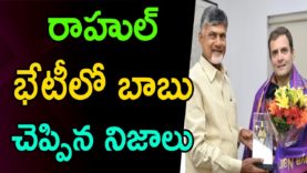 Chandrababu Naidu met Rahul Gandhi over Elections