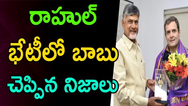 Chandrababu Naidu met Rahul Gandhi over Elections
