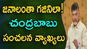 Chandrababu Sensational Comments On MODI